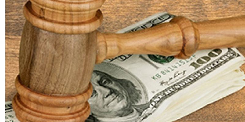 Inflation of Money as Damage: The Legal Position of the Constitutional Court