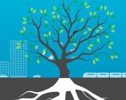 Corporate social responsibility and tax regulations in Azerbaijan