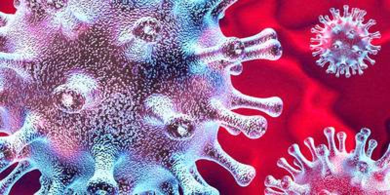 Yeni Koronavirusun hüquqi təsirləri