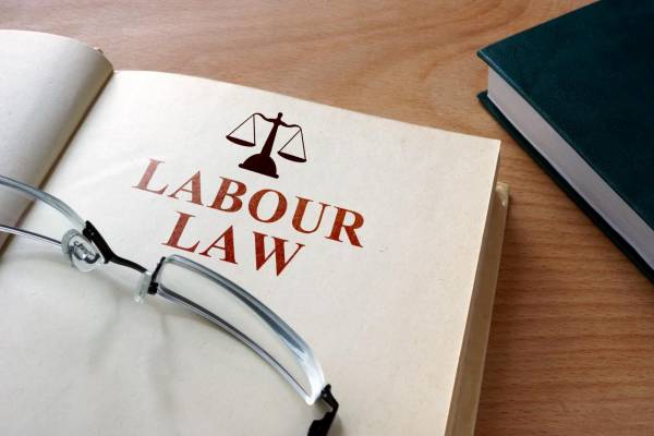 Labor and Employment Law