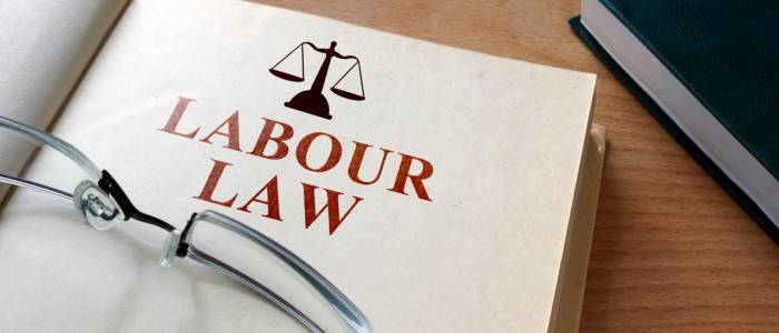 Labor and Employment Law